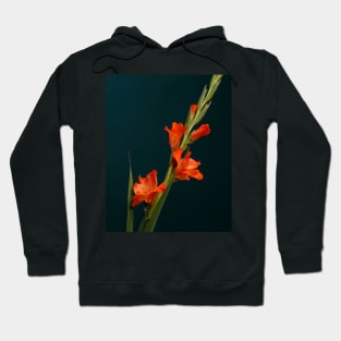 Orange Gladiolus Hoodie